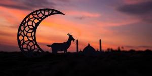 عيد
الأضحى
في
عيون
الشعوب
..
تقاليد
متنوّعة
يجمعها
الإيمان - تكنو بلس