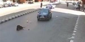 مصرع
      سيدة
      صطدمتها
      سيارة
      يقودها
      طالب
      بالغربية - تكنو بلس