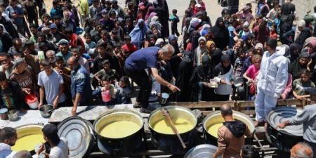 الأمم
      المتحدة:
      استعمال
      الاحتلال
      الإسرائيلي
      الغذاء
      كسلاح
      للحرب
      في
      غزة
      مرفوض - تكنو بلس