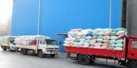 تموين المنوفية: توريد 40 ألف طن قمح حتى الآن بجميع صوامع وشون المحافظة