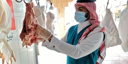 ختم
المسلخ
والتبريد
الإلزامي..
أبرز
ضوابط
محلات
اللحوم
الجديدة - تكنو بلس