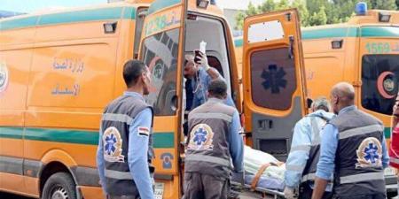 بينهم
      سودانيين..
      إصابة
      7
      أشخاص
      في
      حادث
      تصادم
      على
      دائري
      المريوطية - تكنو بلس