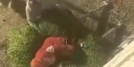 لم
      يراعوا
      حرمة
      بيت
      الله..
      غضب
      عارم
      بسبب
      اقتحام
      مسجد
      من
      قبل
      مجموعة
      من
      الأشخاص
      والتعدي
      على
      آخر - تكنو بلس