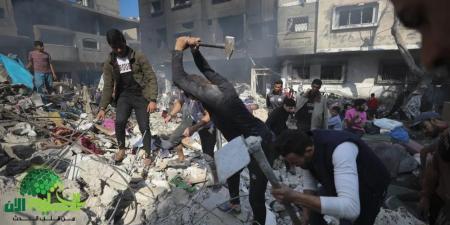 حسين
      الشيخ
      يؤكد
      ..
      واشنطن
      وحدها
      قادرة
      على
      وقف
      الحرب
      في
      غزة - تكنو بلس