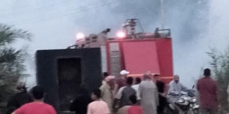 الحماية المدنية تسيطر على حريق فى هيش ونخيل بالسويس دون خسائر بشرية