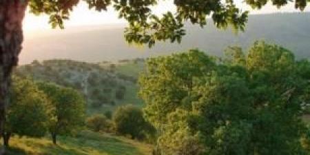 الارصاد:
      تراجع
      تأثير
      الكتلة
      الحارة
      وأجواء
      معتدلة
      تدريجياً
      خلال
      الأيام
      القادمة - تكنو بلس
