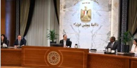 صندوق النقد: برنامج الإصلاح الاقتصادي "مصري خالص" - تكنو بلس