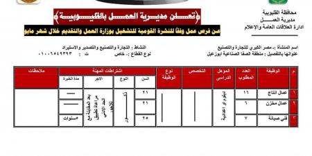 مديرية العمل بالقليوبية توفر 627 فرصة عمل فى 4 شركات بالقطاع الخاص