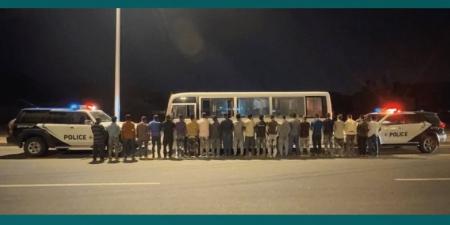 ضبط مقيم لنقله 22 وافدًا لا يحملون تصريحًا بالحج إلى مكة المكرمة - تكنو بلس