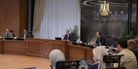مجلس الوزراء: الدراسة بالتعليم قبل الجامعى 12سنة إلزامية منها 6 ابتدائى و3 إعدادى - تكنو بلس