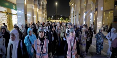 وصول
2550
حاجا
قادمين
من
مصر
و3000 
تم
تفويجهم
من
المدينة
المنورة - تكنو بلس
