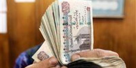 700
      جنيه..تعرف
      على
      قيمة
      الحافز
      الإضافي
      للعاملين
      بالدولة
      وفقاً
      للقانون
      الجديد - تكنو بلس