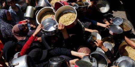 الأونروا:
      غزة
      تتضور
      جوعًا
      وتحتاج
      إلى
      600
      شاحنة
      مساعدات
      يوميًا - تكنو بلس