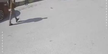 فيديو
      يوثق
      لحظة
      نجاة
      مواطن
      من
      هجوم
      كلب
      ضال
      في
      الرصيفة - تكنو بلس