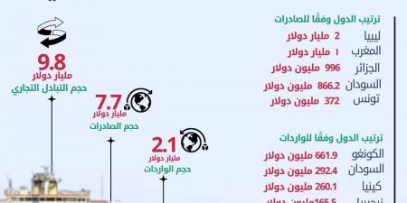 الإحصاء: 4.7% ارتفاعًا في الصادرات المصرية إلى دول الاتحاد الإفريقى خلال عام 2024 - تكنو بلس