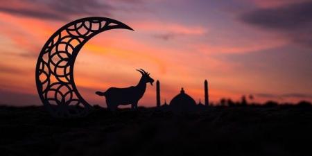 عيد
الأضحى
في
عيون
الشعوب
..
تقاليد
متنوّعة
يجمعها
الإيمان - تكنو بلس