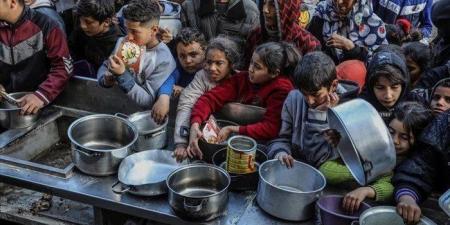 وثيقة
      أوروبية
      سرية
      تؤكد
      استخدام
      جيش
      الاحتلال
      التجويع
      سلاحا
      في
      غزة - تكنو بلس