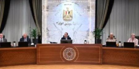 مجلس الوزراء يستعرض إجراءات البث التجريبى للمنصة الإلكترونية لتراخيص الاستثمار - تكنو بلس