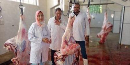 فتح المجازر بالمجان للمواطنين والمؤسسات الخيرية طوال أيام عيد الأضحى بالأقصر