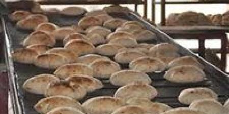 وزير
      التموين:
      نعد
      ونوفر
      نحو
      280
      مليون
      رغيف
      خبز
      للمواطنين
      يوميا..
      ودي
      مسؤولية
      كبيرة
      جدا - تكنو بلس