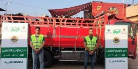 تضامن الغربية: ذبح 65 عجلا بمجزر طنطا العمومى لتوزيع لحومها على الأسر الأكثر احتياجا
