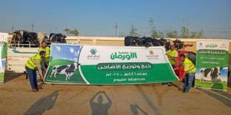 التضامن الاجتماعى فى الفيوم تشرف على ذبح الأضاحى لتوزيعها على الأولى بالرعاية