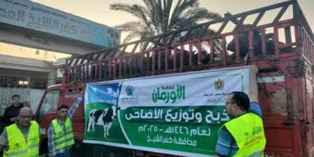 ذبح
٣٠
عجل وتوزيع
٥٠ألف
كيلو
لحوم
مجمدة في
كفرالشيخ - تكنو بلس
