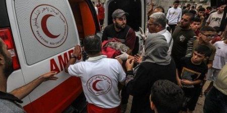 استشهاد
      9
      فلسطينيين
      في
      قصف
      للاحتلال
      الإسرائيلي
      على
      خان
      يونس
      ورفح - تكنو بلس