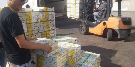 الزراعة
      تعلن
      استمرار
      حركة
      الصادرات
      والواردات
      خلال
      العيد
      بالمنافذ
      الجمركية - تكنو بلس
