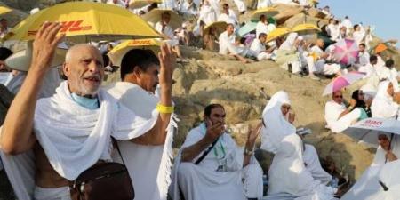 ماذا
      بعد
      رمي
      الجمرات؟
      دليل
      مبسط
      لمناسك
      الحاج
      في
      ثالث
      أيام
      عيد
      الأضحى - تكنو بلس