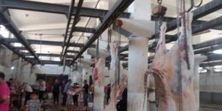 الإشراف على ذبح 1520 رأس ماشية بمجازر البحيرة خلال عيد الأضحى المبارك