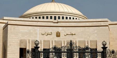 تعديلات تشريعية جديدة.. الدولة تعزز التمثيل النيابي للشباب والمرأة وذوي الهمم - تكنو بلس