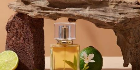 عطور روائح الحمضيات، لمسة من الانتعاش والجاذبية - تكنو بلس