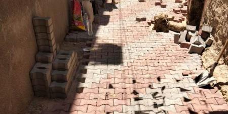 محافظ
أسيوط:
مواصلة تركيب
بلاط
الإنترلوك بمنطقة
الوليدية
بحى
شرق - تكنو بلس