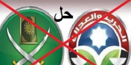 جمال التهامي: أكاذيب الإخوان تستهدف تعطيل مسار الدولة نحو المستقبل
