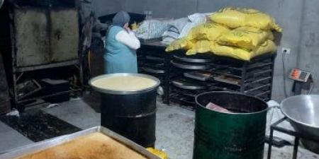 ضبط 14 طن سردين غير صالح وإعدام 125 كيلو أغذية فاسدة ببنى سويف