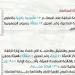 سلامة الغذاء: 270 ألف طن صادرات غذائية وأمريكا والسودان أكبر الأسواق المستقبلة - تكنو بلس