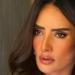 إصابة ابن الفنانة زينة أثناء محاولته الهرب من كلب في الشيخ زايد
