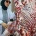 ضبط 4 أطنان و400 كيلو لحوم ودواجن مخالفة بالشرقية