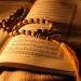 في يوم عرفة: آيات قرآنية رسائل من الله - تكنو بلس
