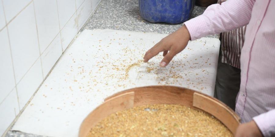 بداية مبشرة لموسم القمح فى قنا واستعدادات تخزينية كاملة.. صور