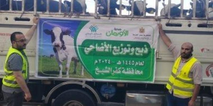 تخصيص 50 ألف كيلو لحوم أضاحي و75 عجلا بلديا لتوزيعها بكفر الشيخ