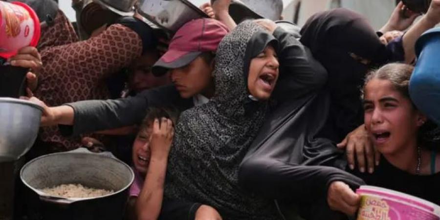 أطفال
غزة
بين
أنياب
الجوع - تكنو بلس