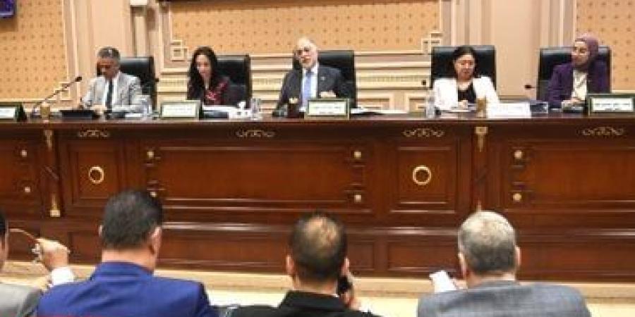 تضامن النواب توافق على موازنة "القومى لذوى الإعاقة" 25/26 بـ28 مليون جنيه