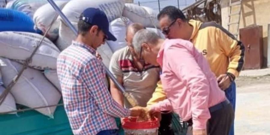 صوامع
وشون
الشرقية
تستقبل
342
ألف
طن
قمح
من
المزارعين - تكنو بلس