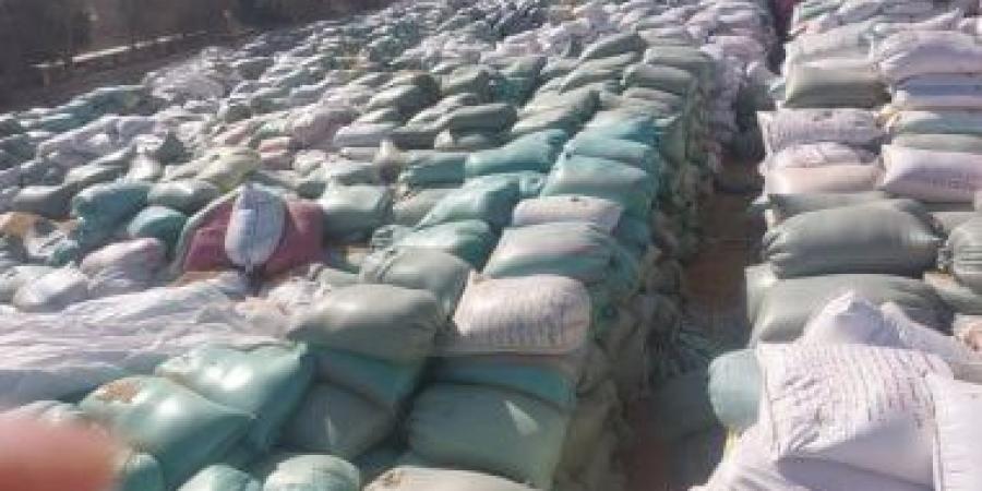 ارتفاع كميات القمح المحلي الموردة للشون والصوامع بأسيوط إلى 89 ألف طن