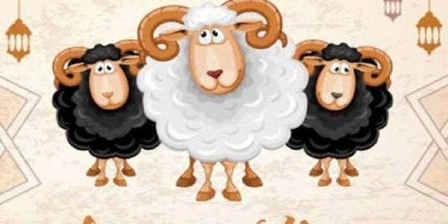 موعد
      وقفة
      عرفات
      وعيد
      الأضحى
      2025..
      «كام
      يوم
      إجازة؟» - تكنو بلس