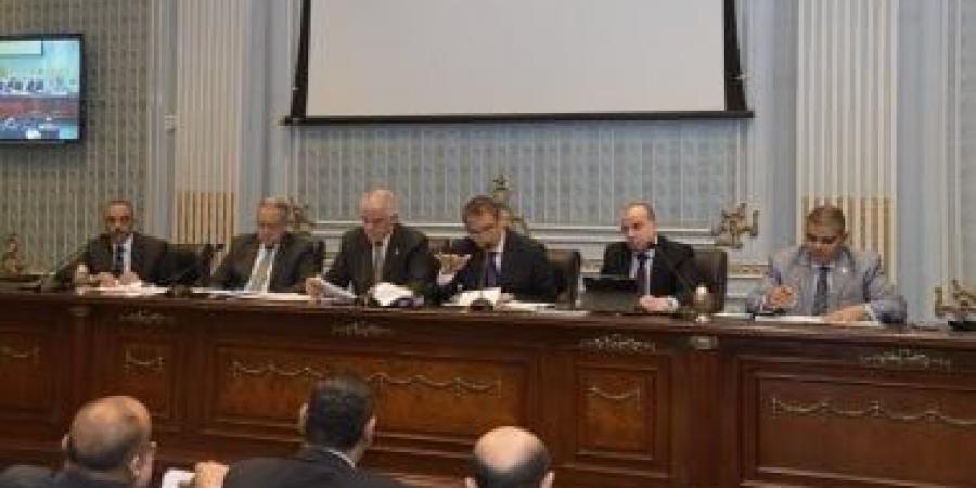 زراعة النواب تعلن انتهاء مشكلة مستحقات مزارعي القطن بالدقهلية