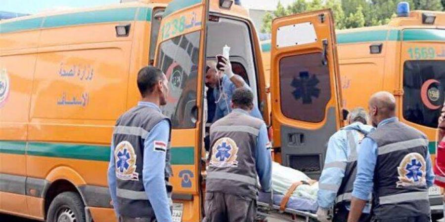 بينهم
      سودانيين..
      إصابة
      7
      أشخاص
      في
      حادث
      تصادم
      على
      دائري
      المريوطية - تكنو بلس