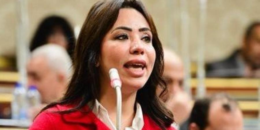 النواب يوافق على مقترح نائبة التنسيقية بتعديل المادة الأولى بقانون "مزاولة الصيدلة" لصالح خريجي الصيدلة